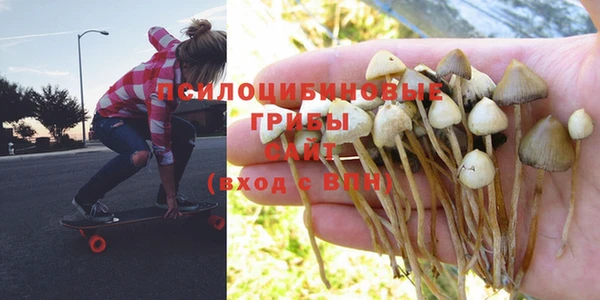 Альфа ПВП Алзамай