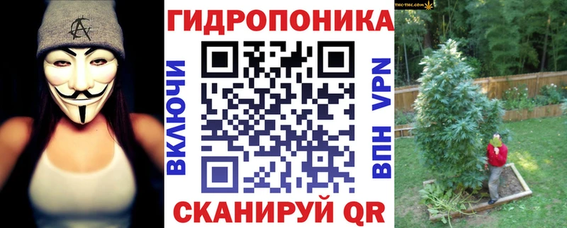 блэк спрут маркетплейс  Жирновск  Каннабис сатива 